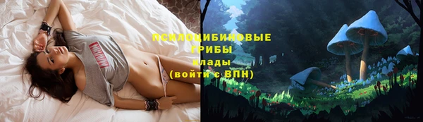 каннабис Белокуриха