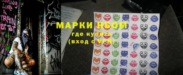ECSTASY Богородицк